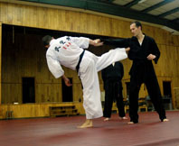 VA Hapkido Training