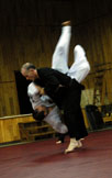 VA Hapkido Training